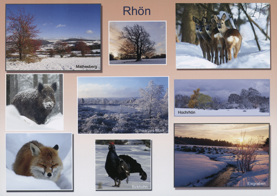 Postkarte 218 Rhön Winterbilder